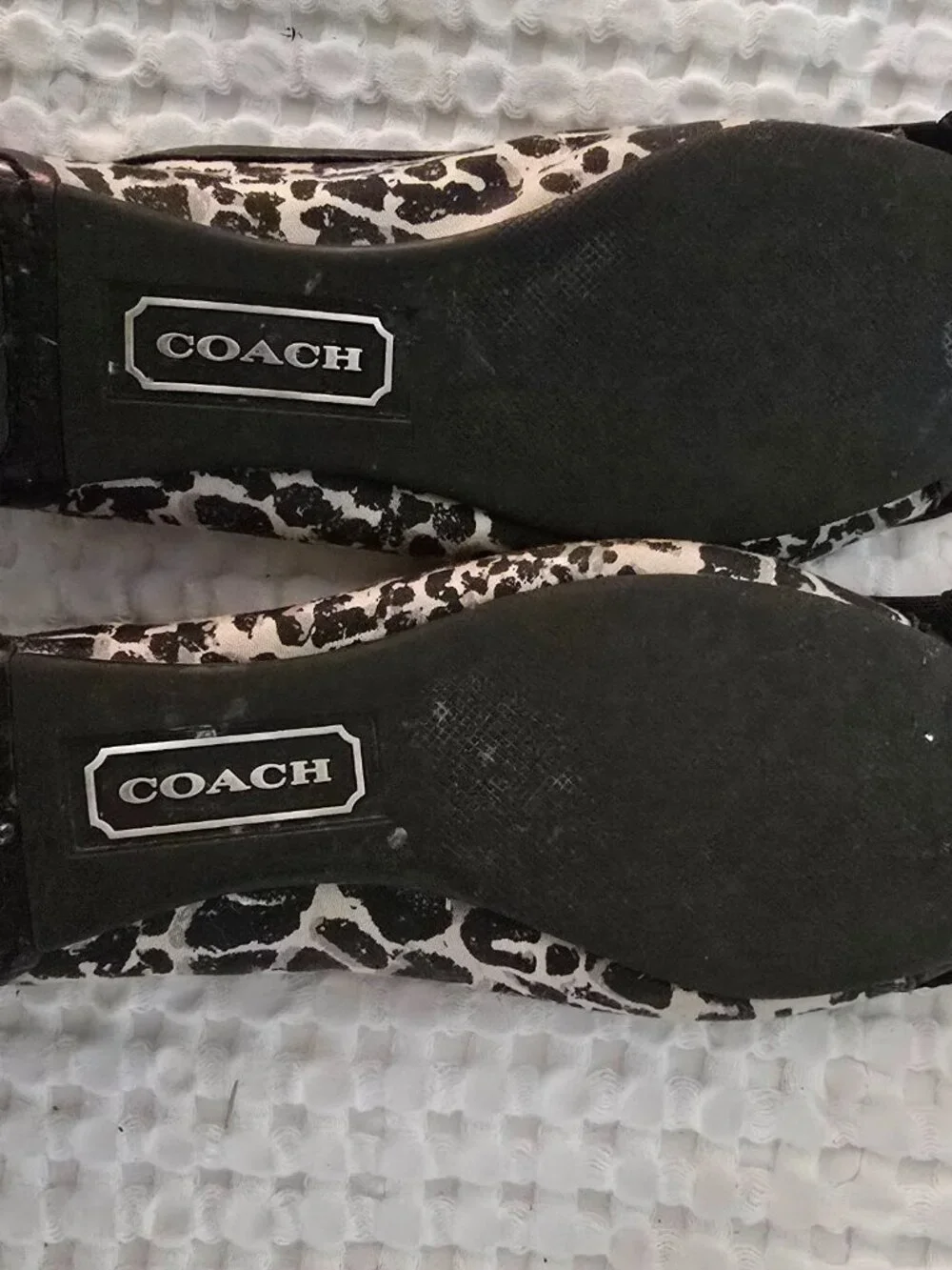 Coach Adorable flats